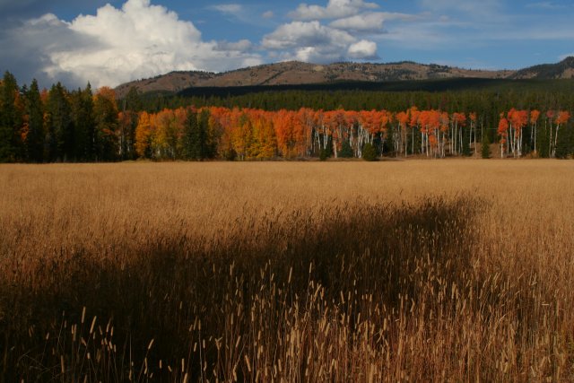Grand Tetons